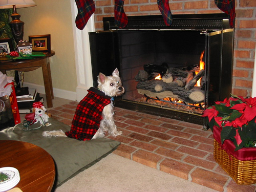 2003 12 Heidi by fire