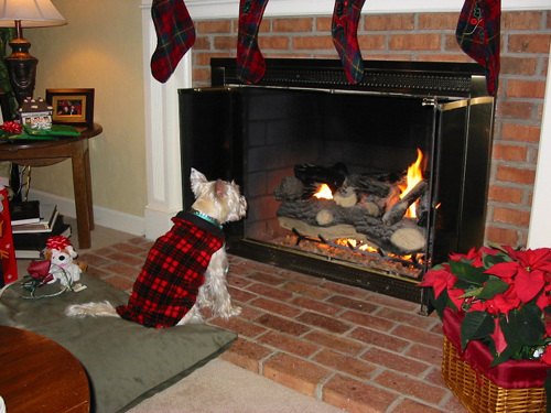 2003 12 Heidi looks at fire