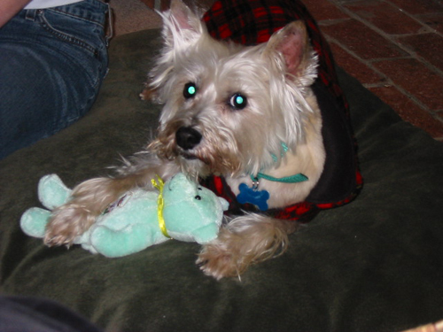 2003 12 Heidi loves her bear