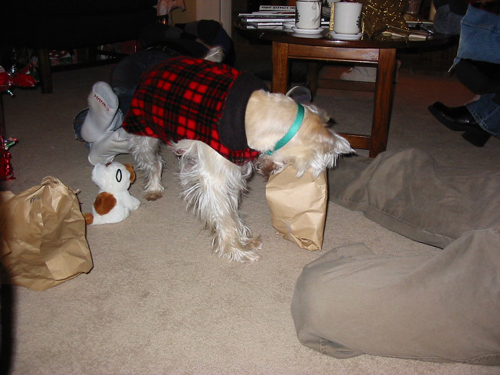 2003 12 Heidi opens gift II