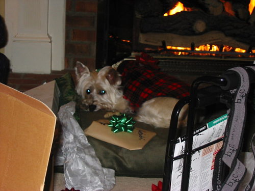 2003 12 Heidi resting