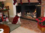 2003 12 Heidi by fire