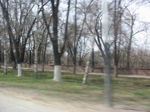 IMG_1290.JPG