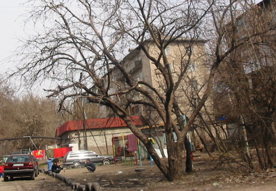 IMG_1295.JPG