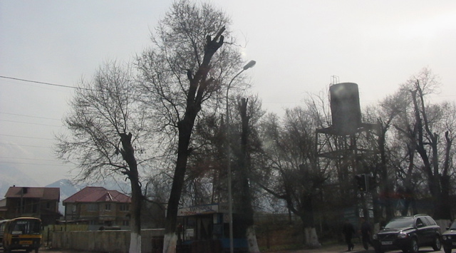 IMG_1298.JPG