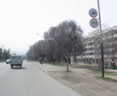 IMG_1289.JPG