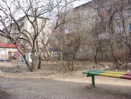 IMG_1294.JPG