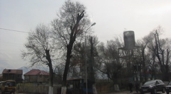 IMG_1298.JPG