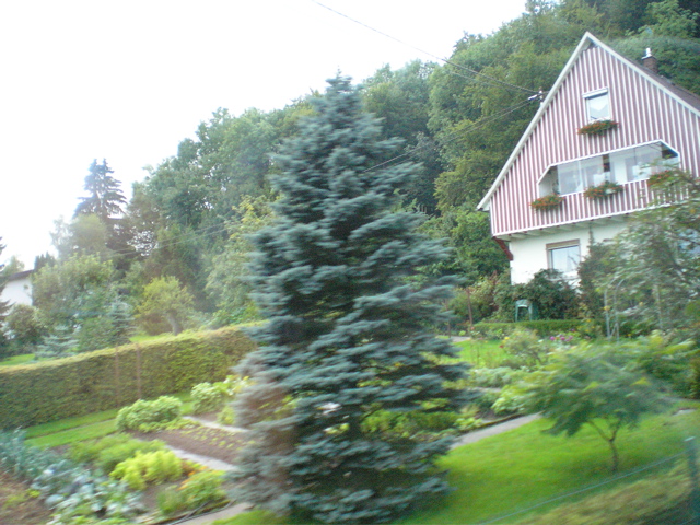 P8290153.JPG