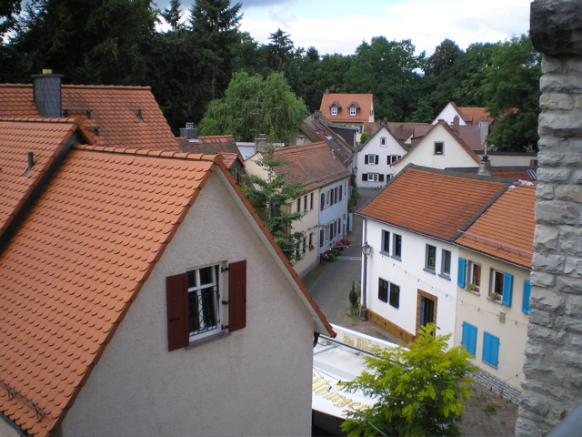 P8310174.JPG