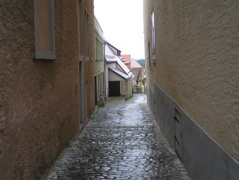 P8250015.JPG
