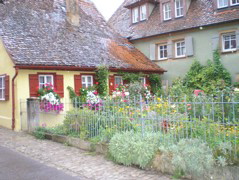 P8250036.JPG