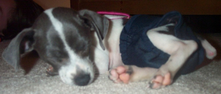 sleepy2
