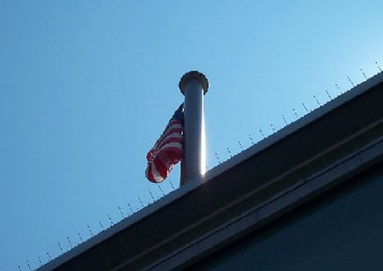 flagweb