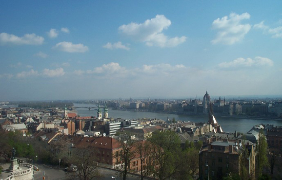 view