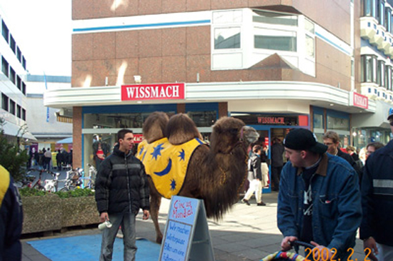 Camel2