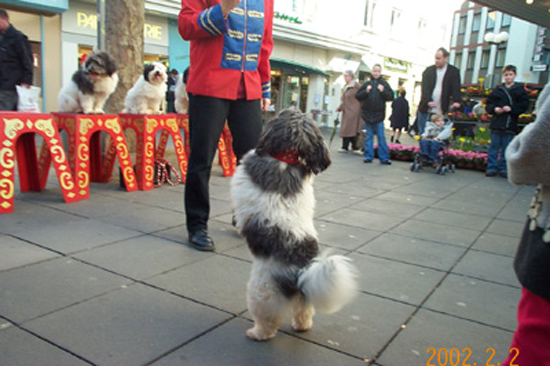 Standing up