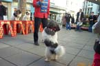 Standing up
