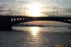Bridge1