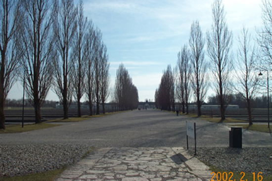 01 View1
