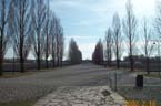01 View1