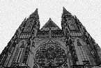 Vitus1