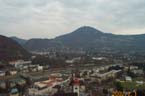 View5