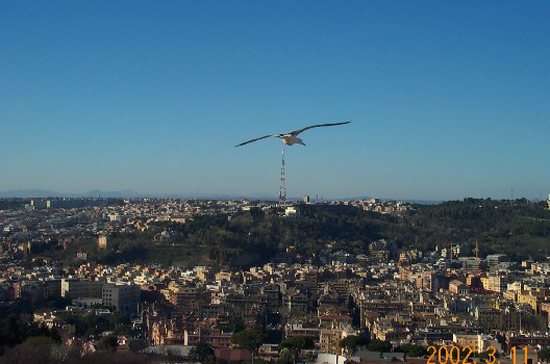 01 bird view1