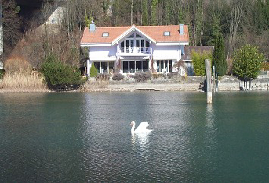 swan webjpg