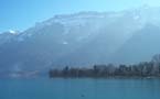 Lake duckweb2