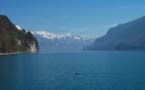 lake duckweb3