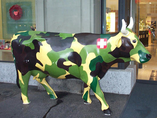 Swill Bull