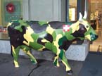 Swill Bull