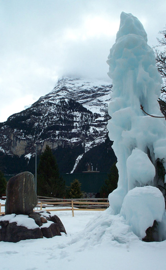 Iced Tree