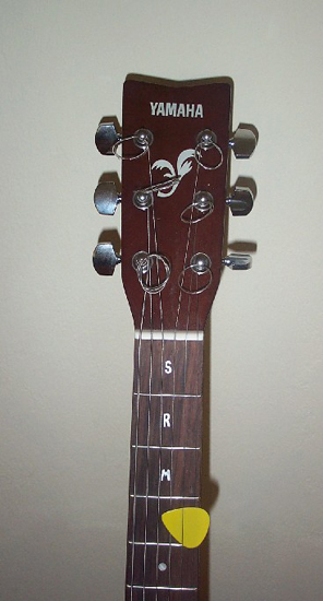 guitar neck