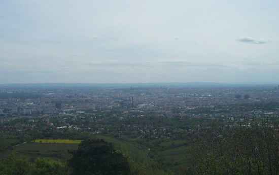 view3