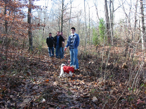 Thanksgiving walk 1
